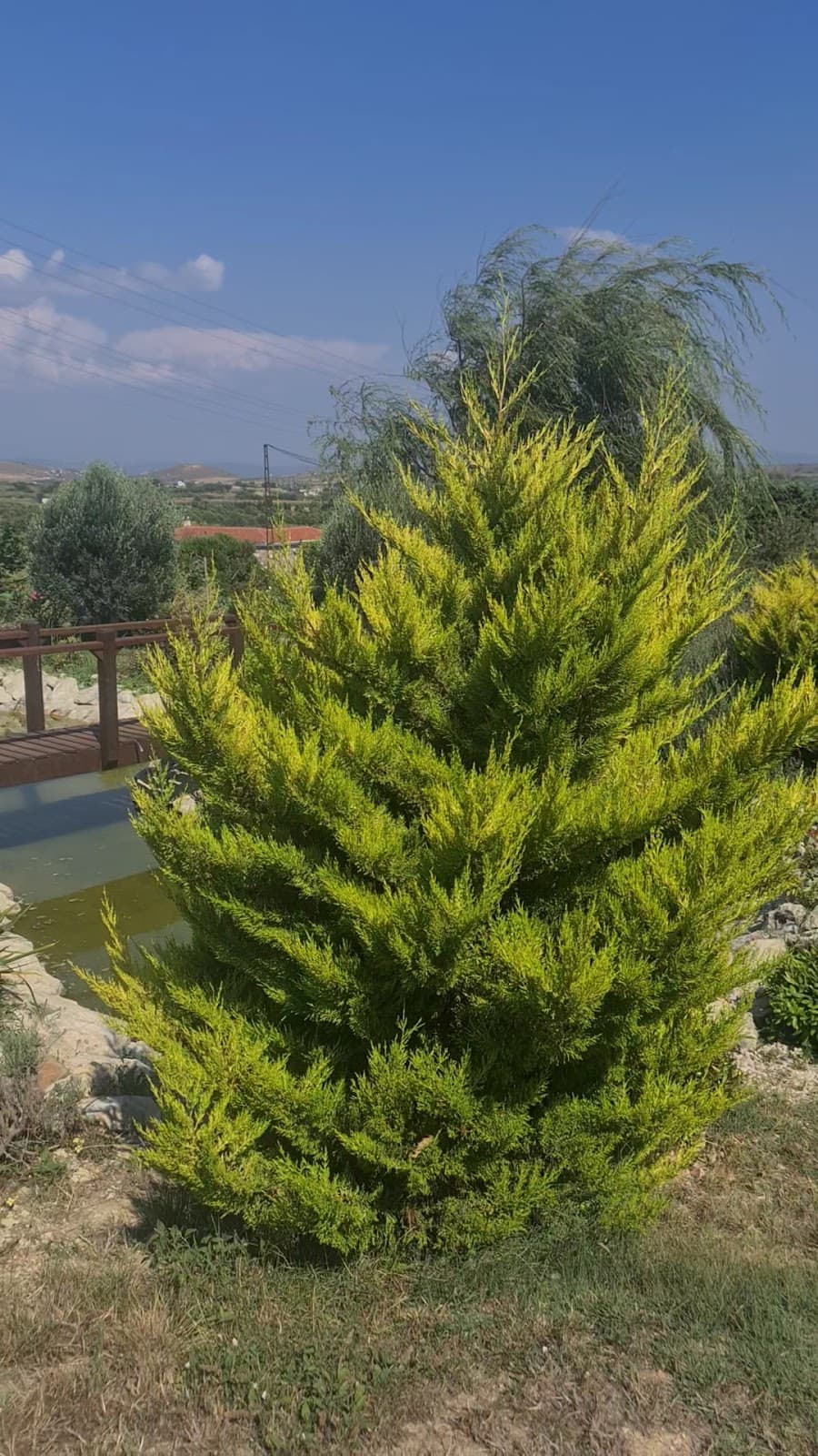 Adayel Otel ve Bağevi Bozcaada