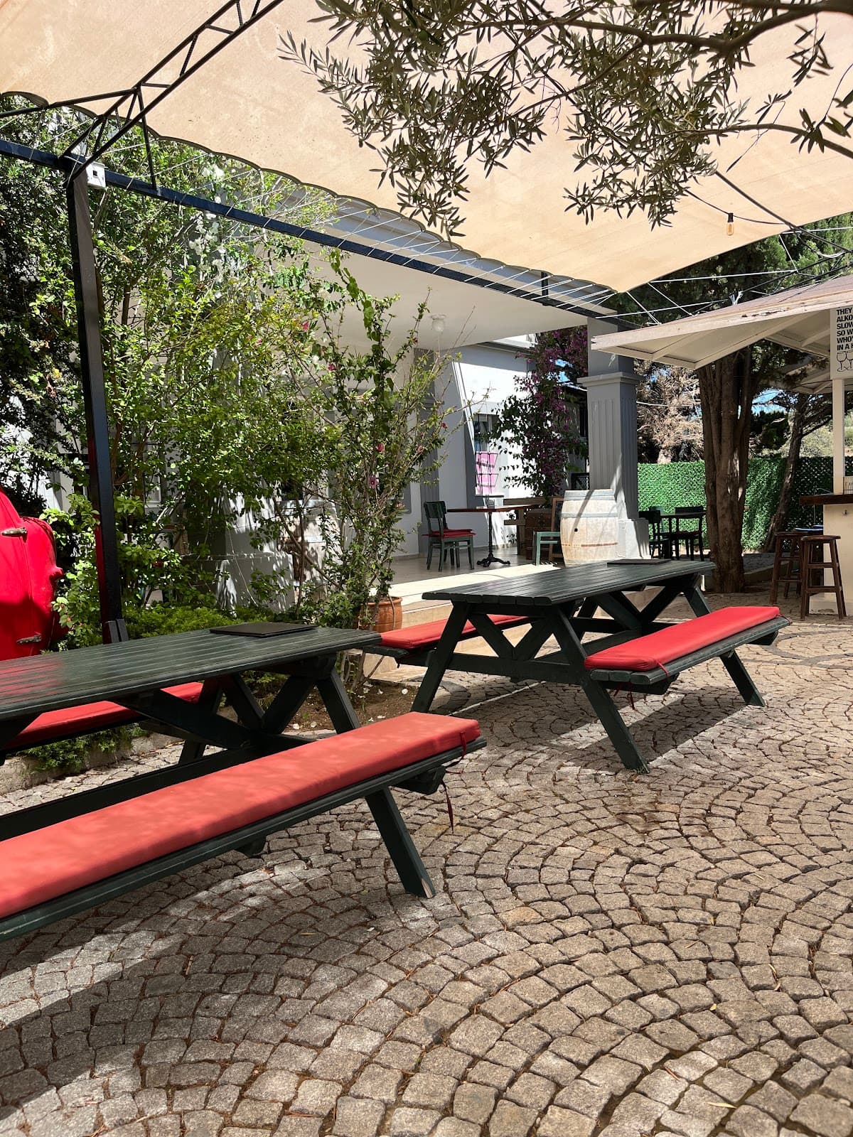 Amadeus Sarapcilik / Winery