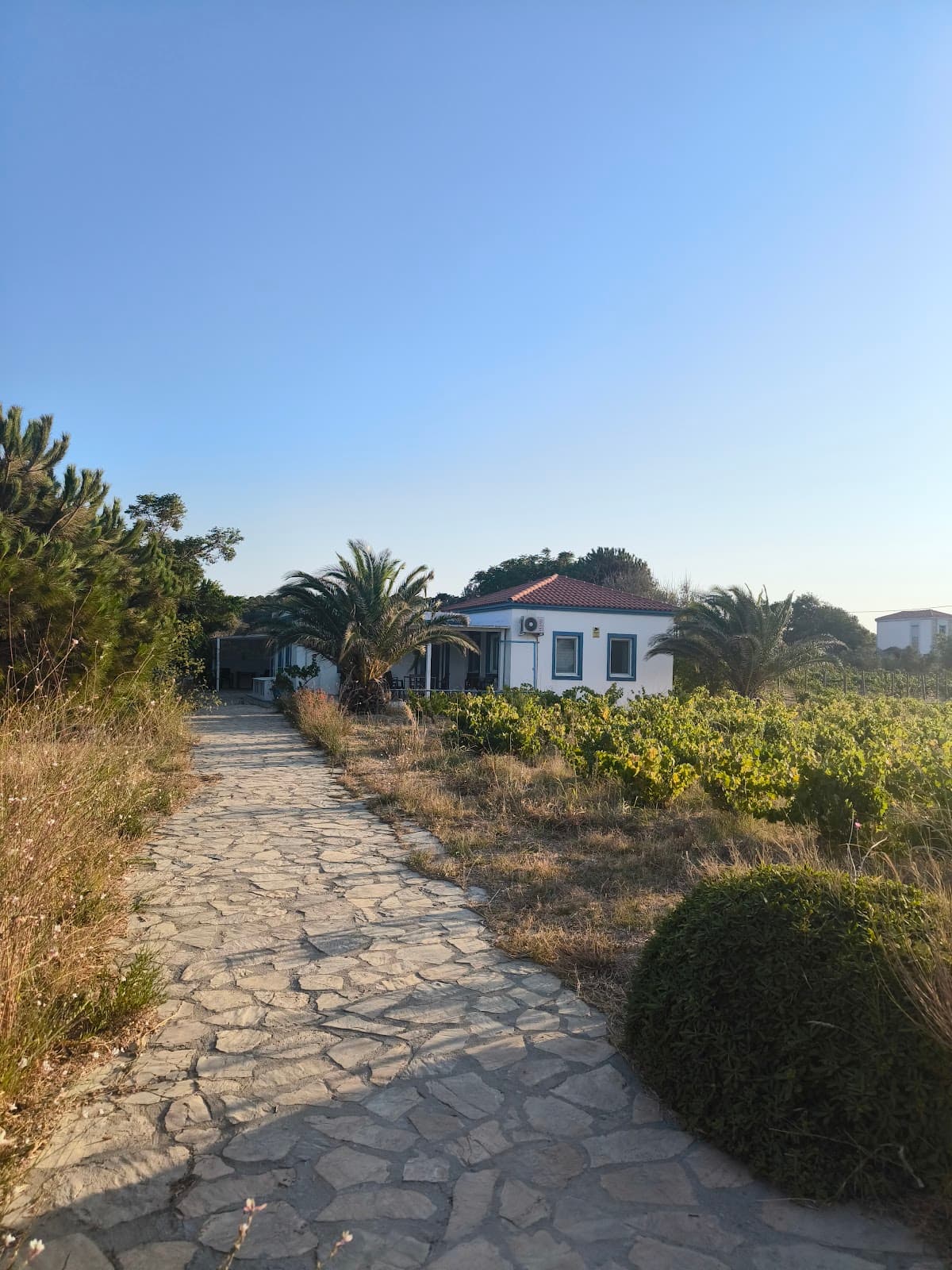 Bozcaada Çayır Bağ Evi