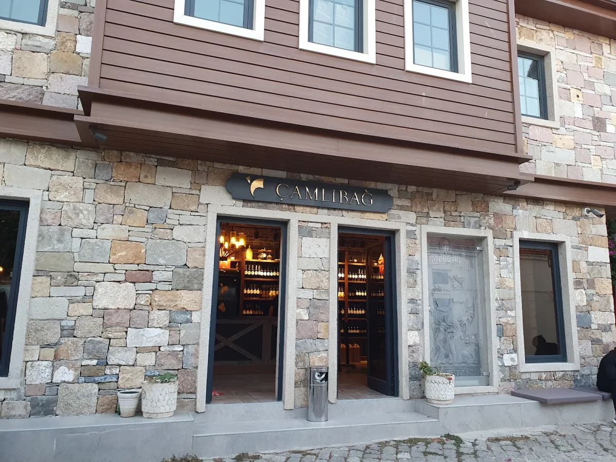 Çamlıbağ Şarapları (YUNATÇILAR) kapak görseli