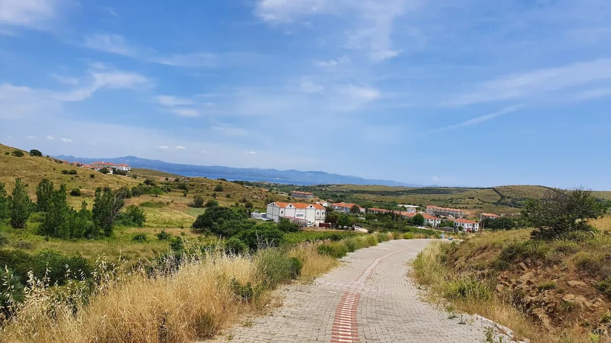 canko bağevi