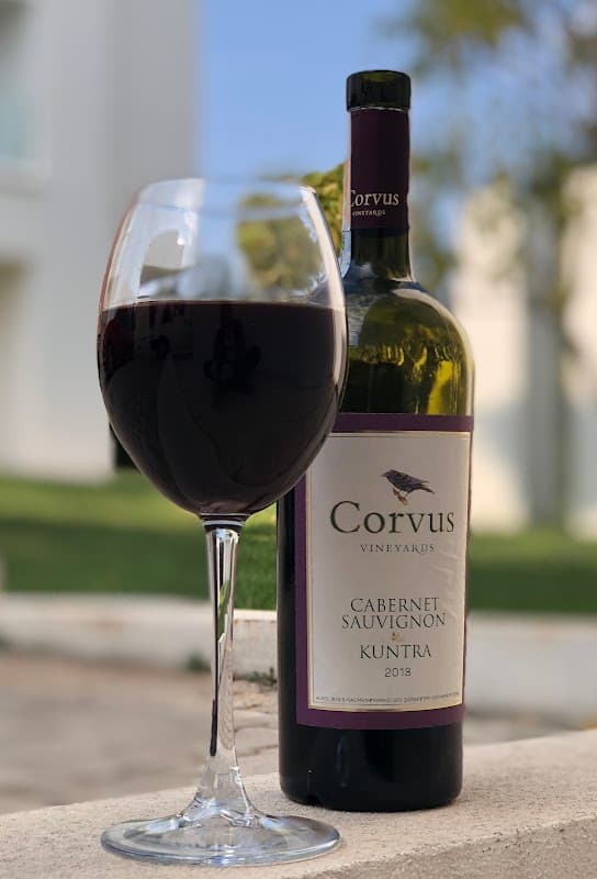 Corvus Şarapçılık fotoğraf 4