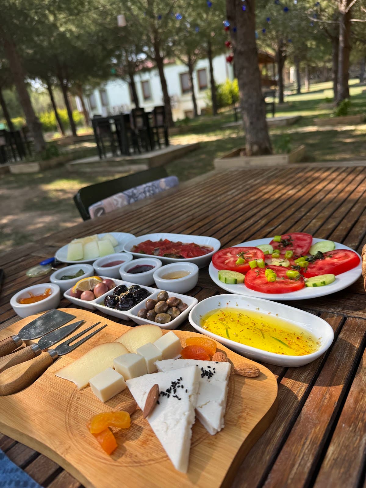 Elyada Bozcaada (+8 Yaş)