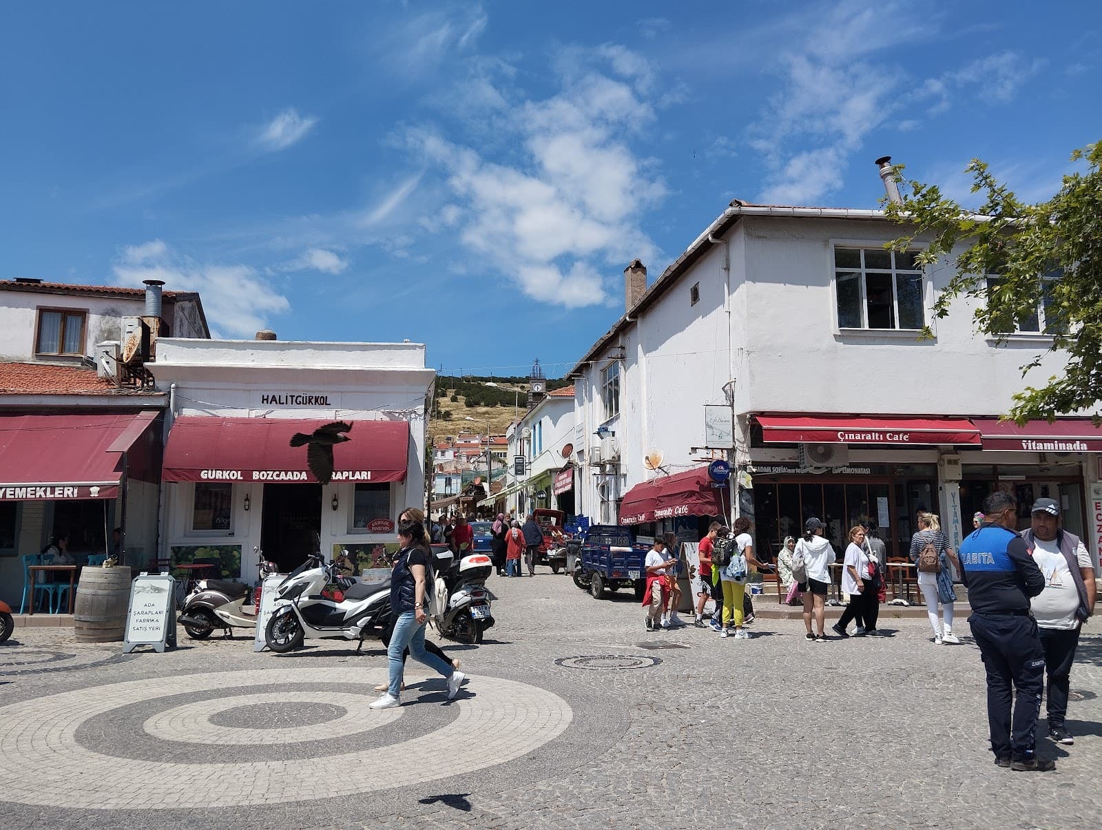 GÜRKOL BOZCAADA ŞARAPLARI