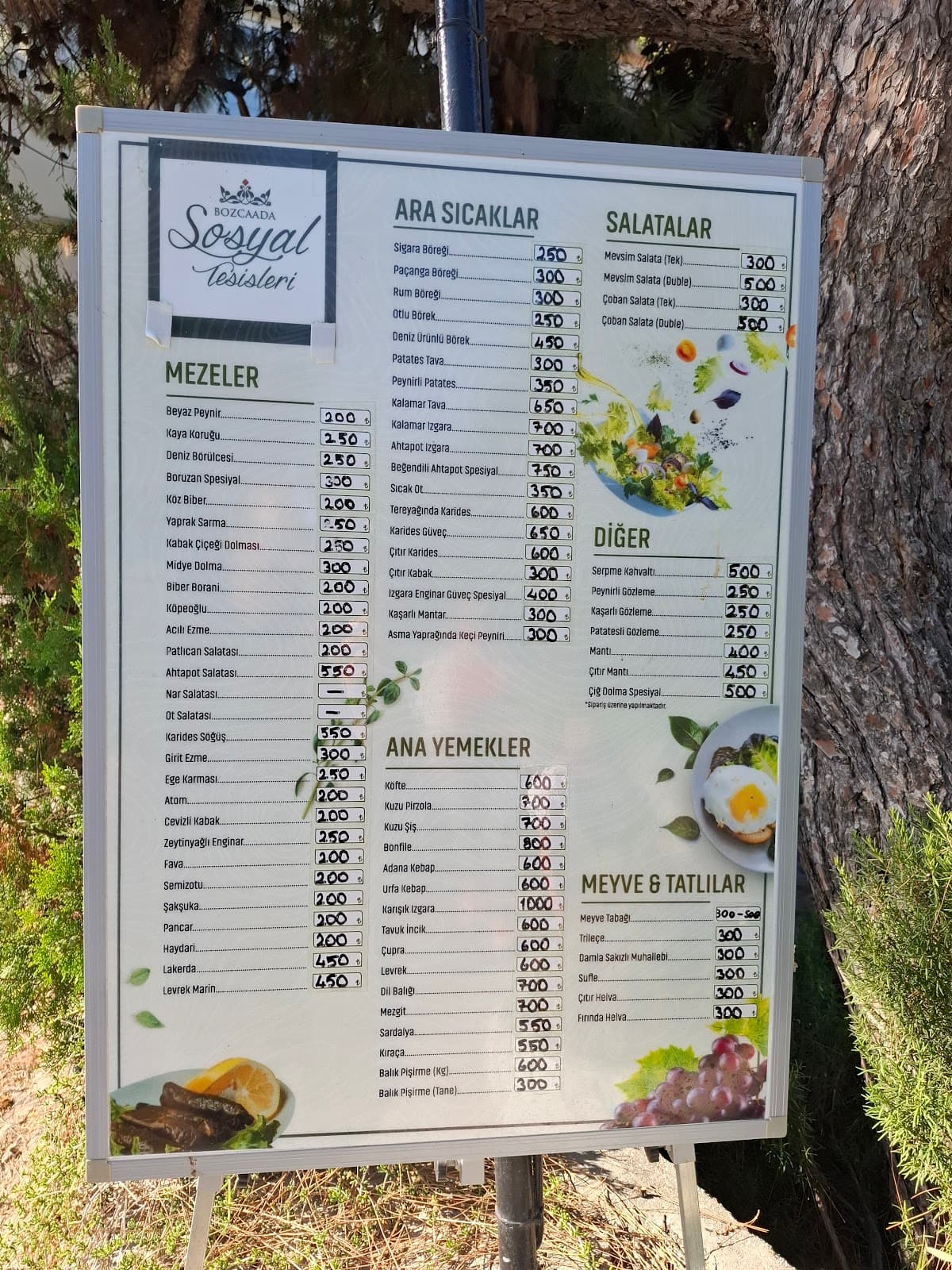 Mahalli İdare Başkanlığı Sosyal Tesisleri