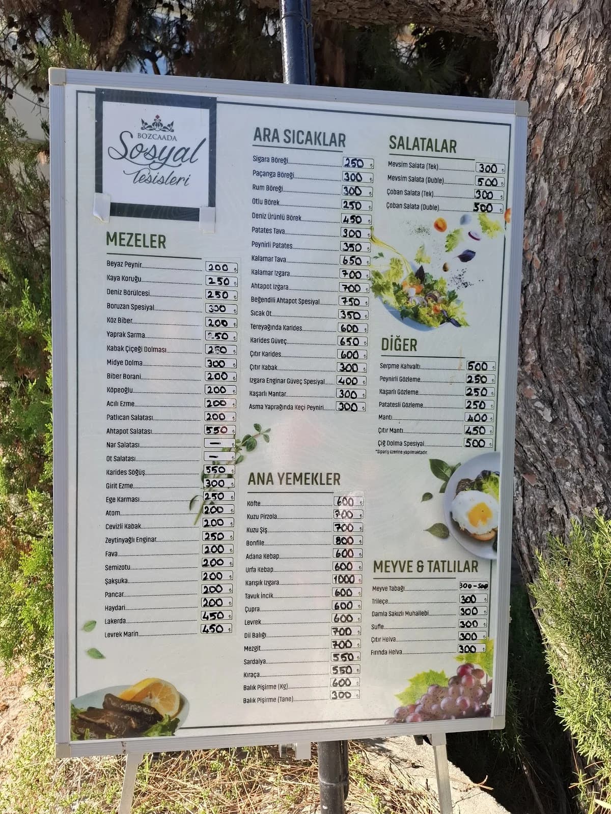 Mahalli İdare Başkanlığı Sosyal Tesisleri