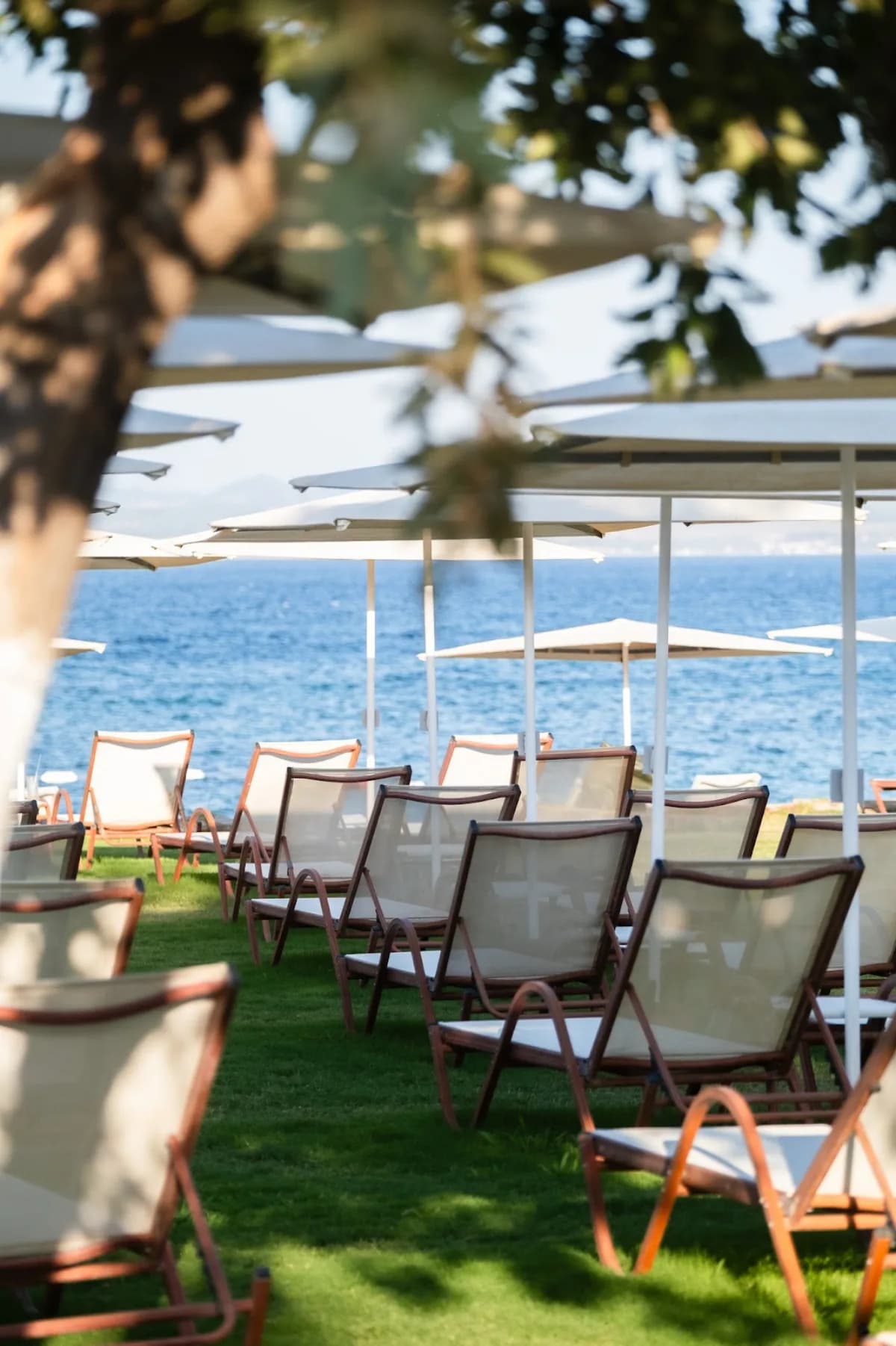 Neco Beach Bozcaada kapak görseli
