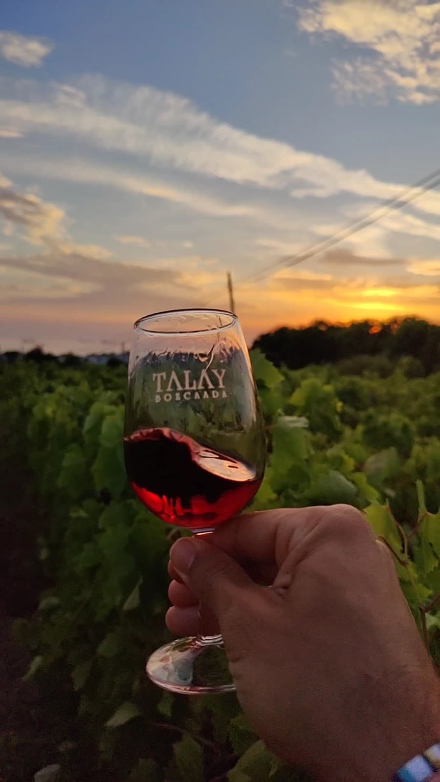 TALAY BAGLARI KONUKEVI