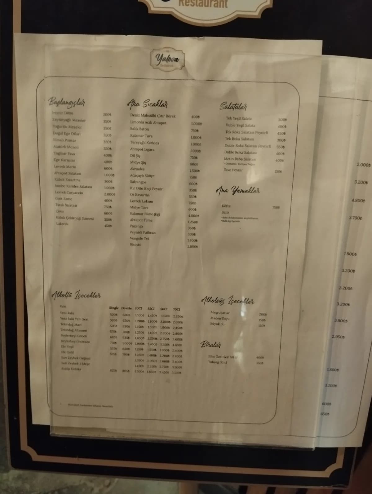 YALOVA 1940 kapak görseli