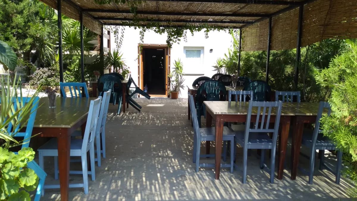 Zeytin Suit Pansiyon