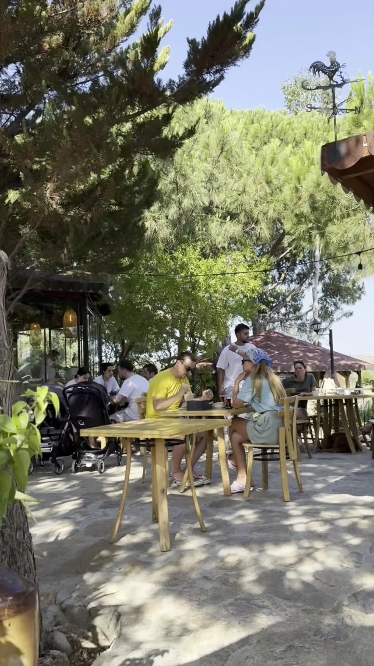 Aral Tatil Çiftliği — Bozcaada'da otel, fotoğraf 2