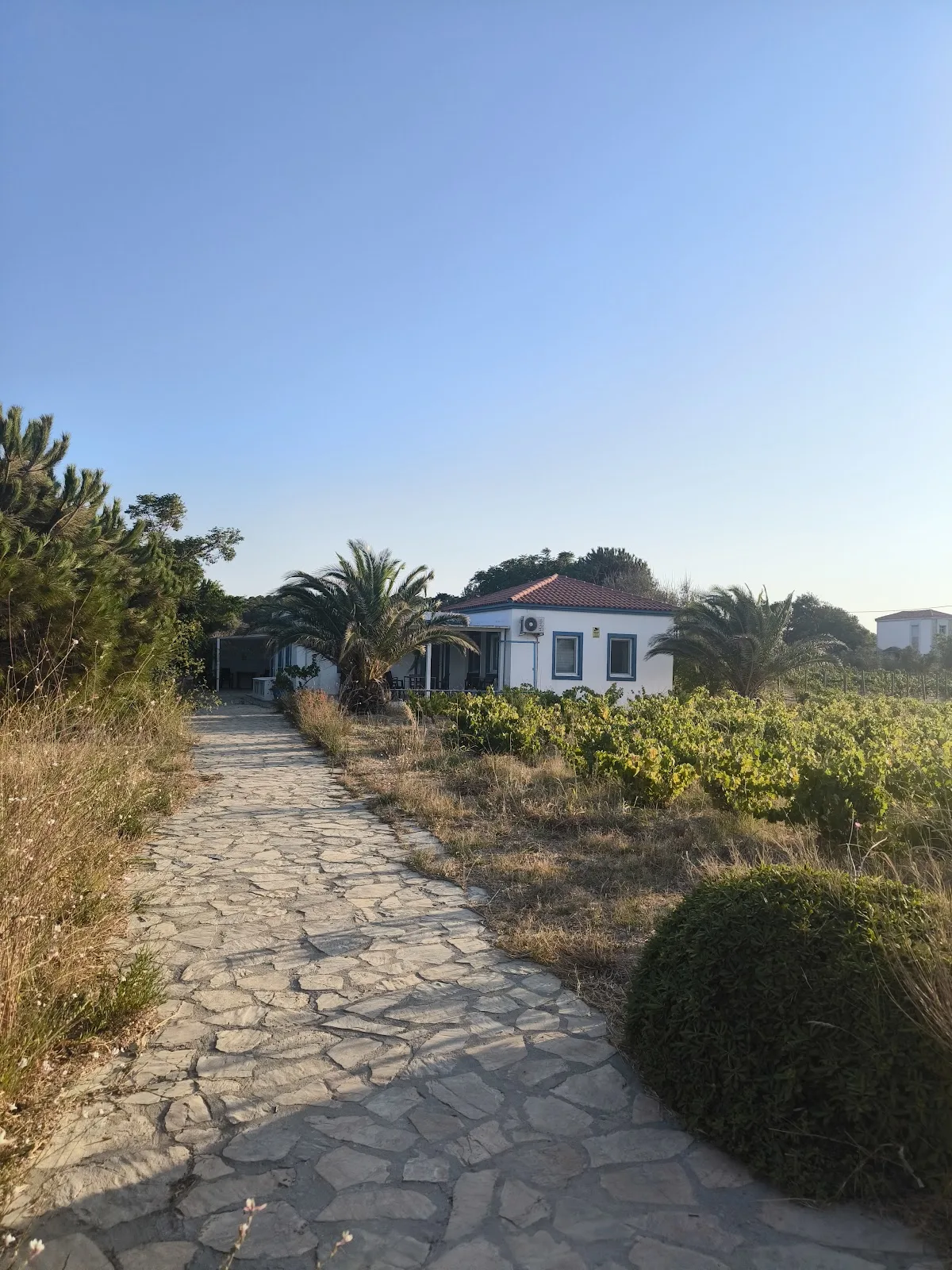 Bozcaada Çayır Bağ Evi — bağ evi, fotoğraf 1