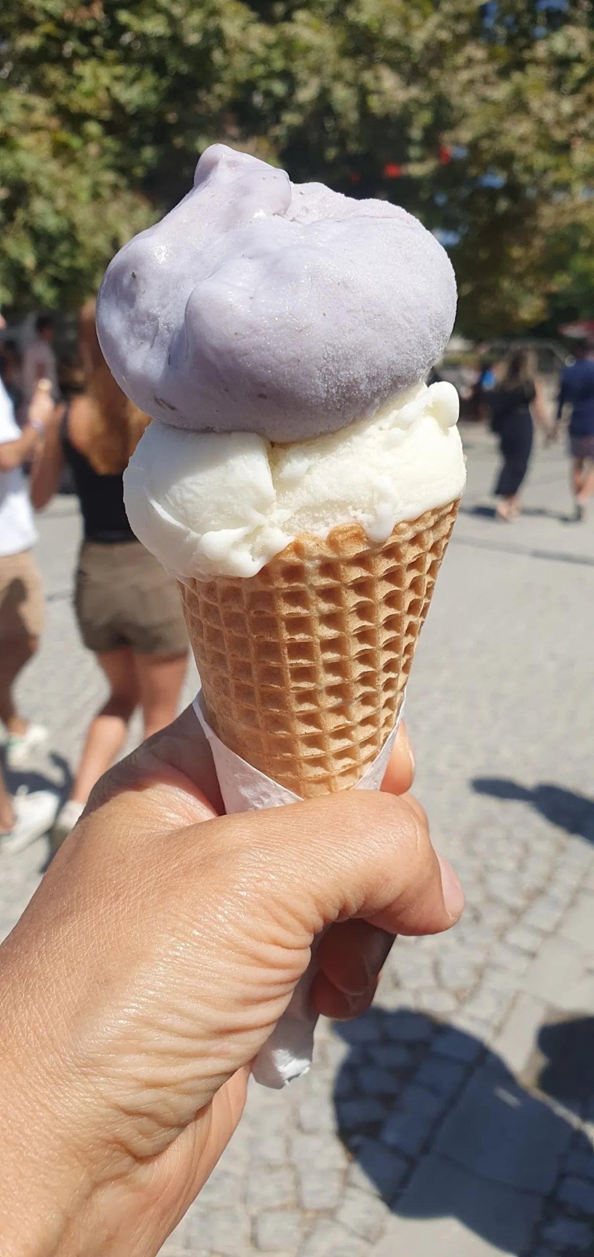 Bozcaada Meşhur Çiçek Doğal Dondurma — kafe, fotoğraf 2