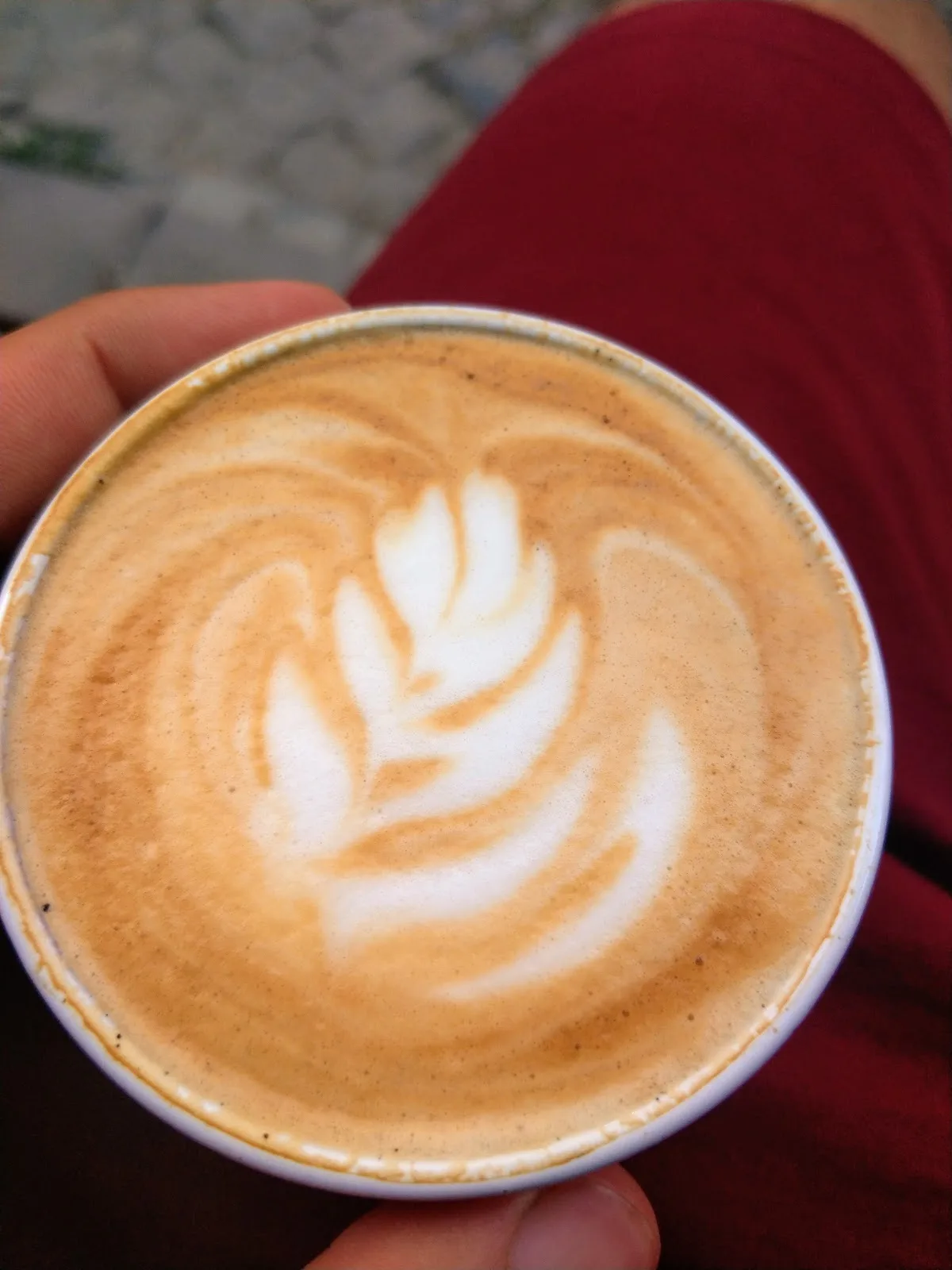 Coffee Shelter — Bozcaada'da kafe, fotoğraf 1