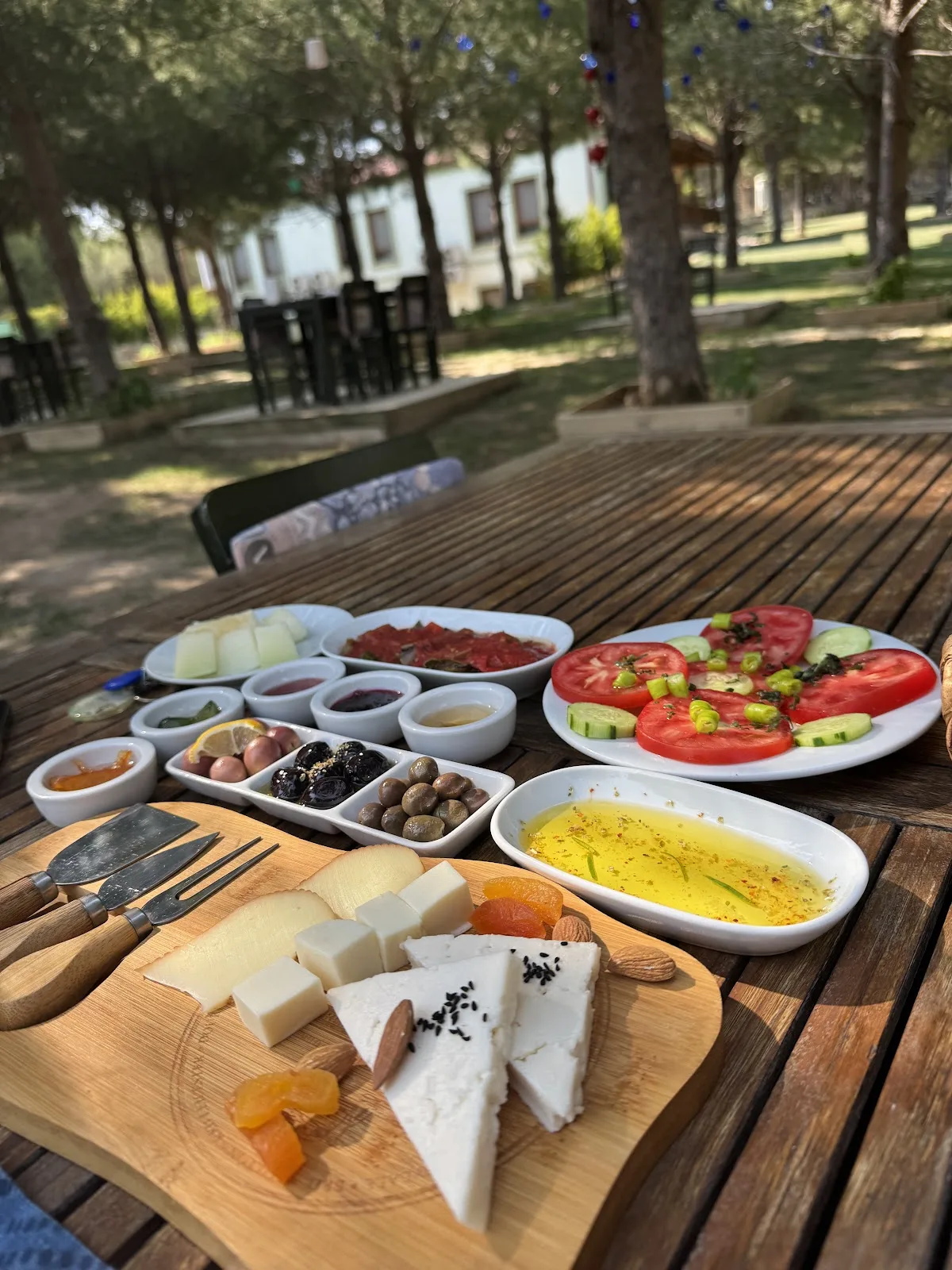 Elyada Bozcaada (+8 Yaş)