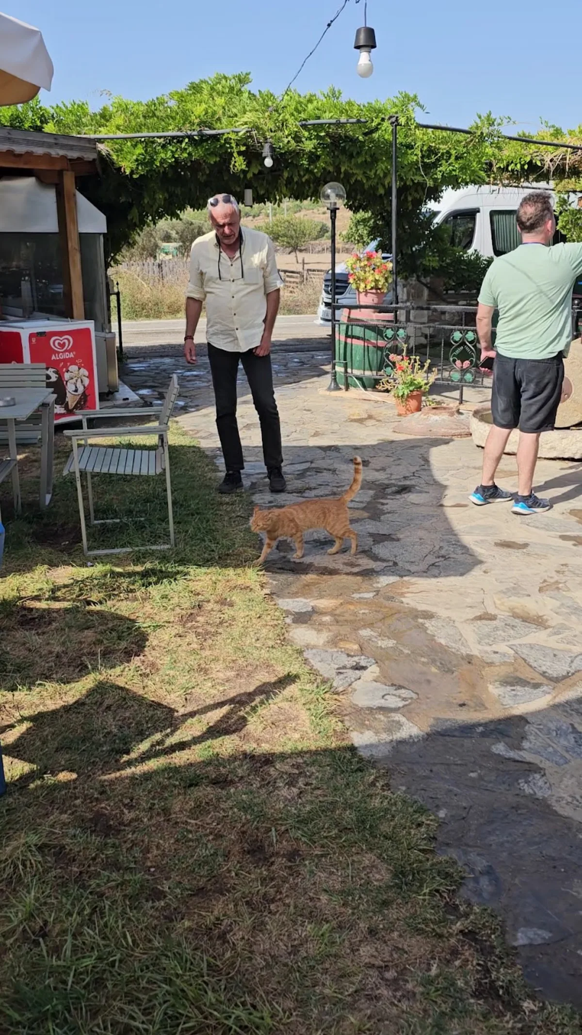 Güler Ada Wine&Jam