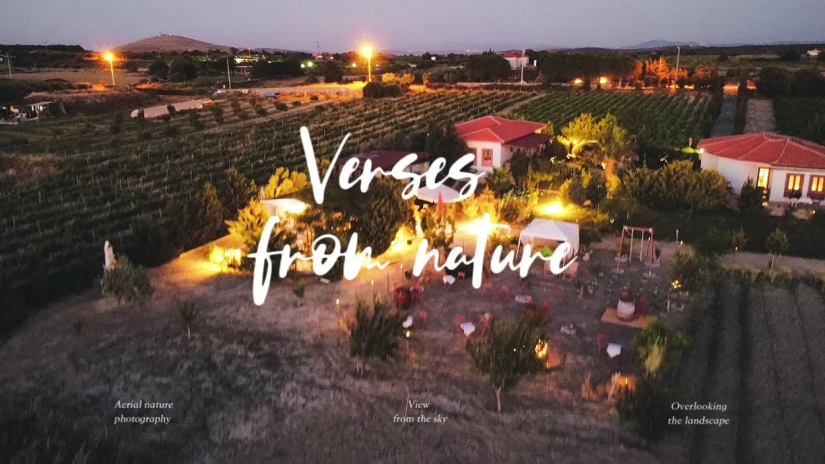 Karina Vineyard House — Bozcaada'da otel, fotoğraf 2