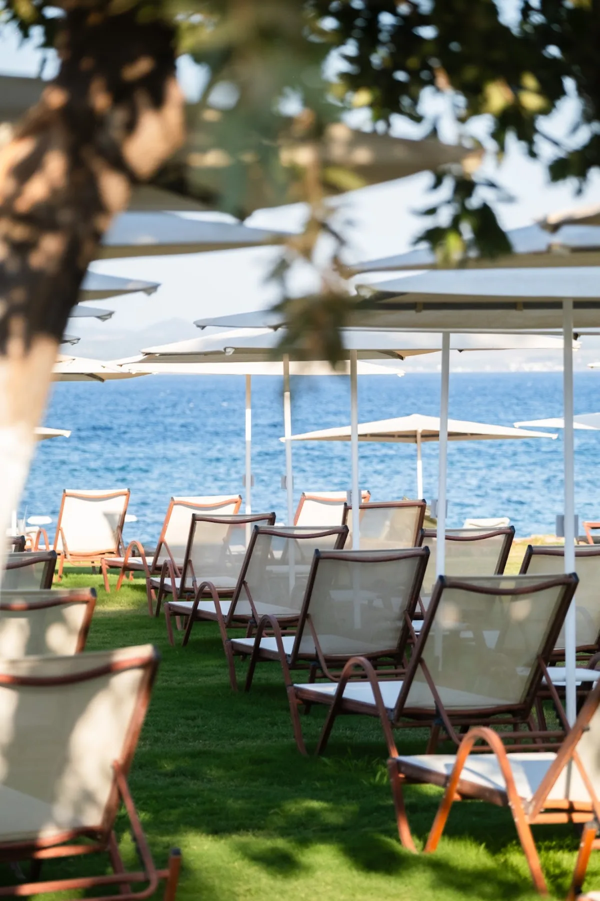 Neco Beach Bozcaada — restoran