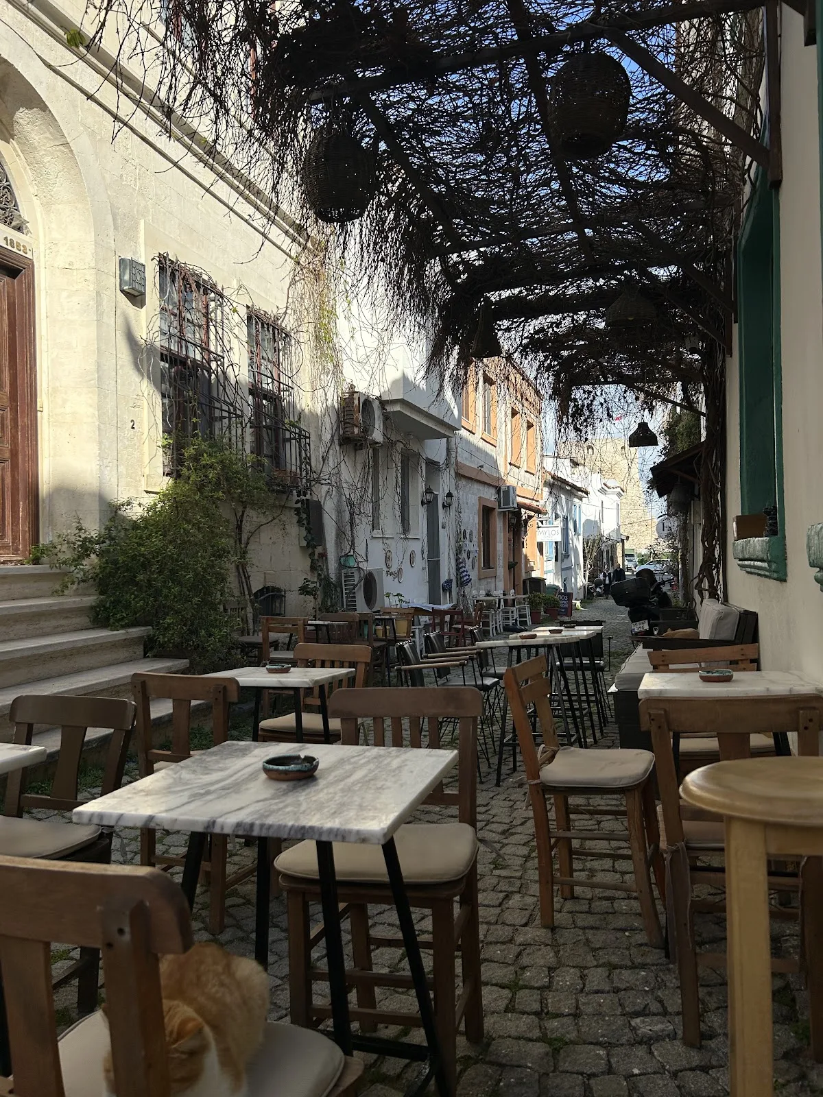 Sapa — Bozcaada'da şarap evi