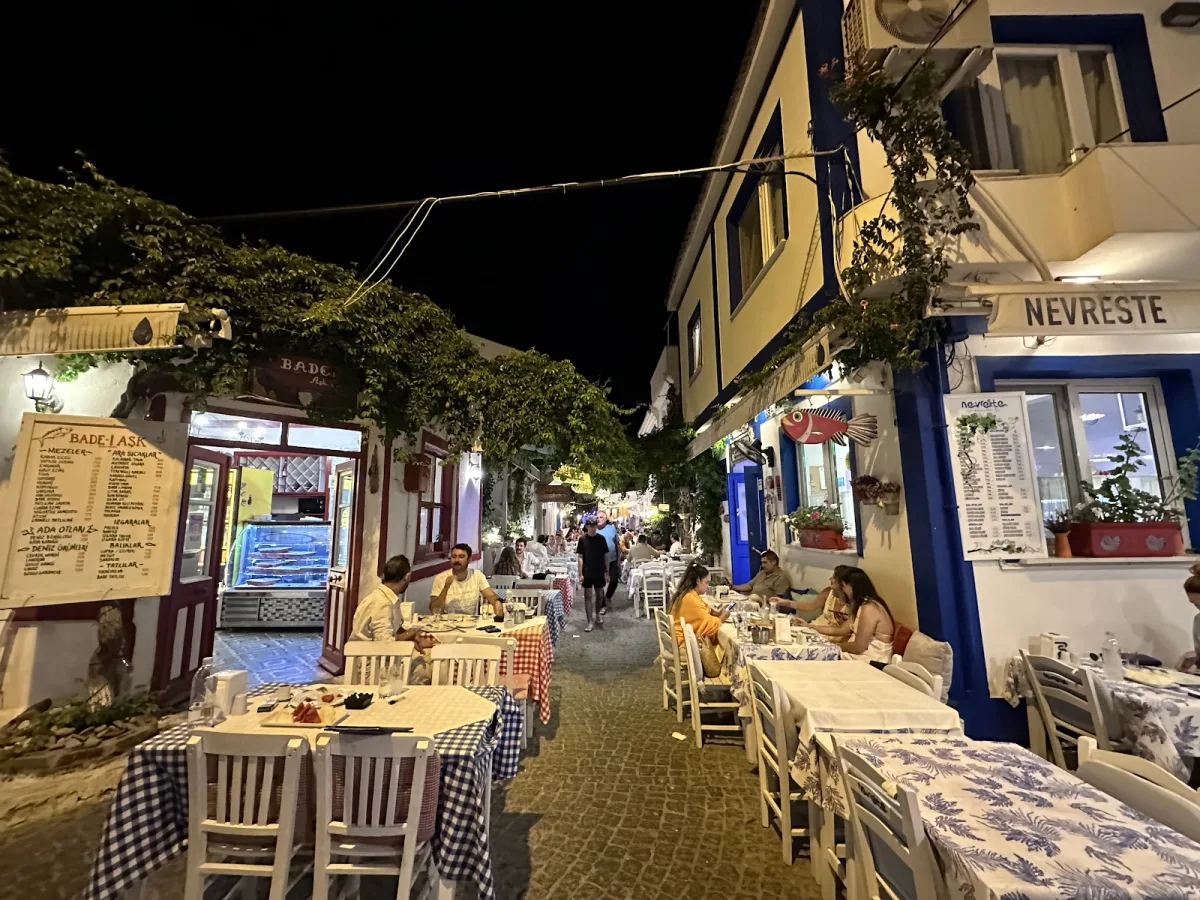 Vasilaki Tenedos Şarap — Bozcaada'da şarap evi, fotoğraf 5