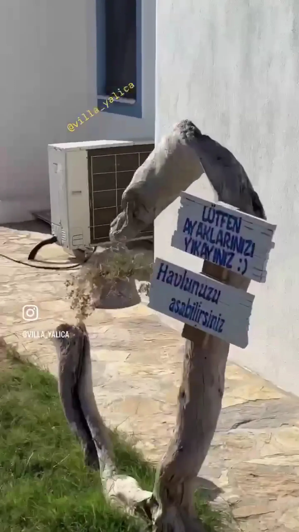 Villa Yalica — Bozcaada'da kiralık ev, fotoğraf 2
