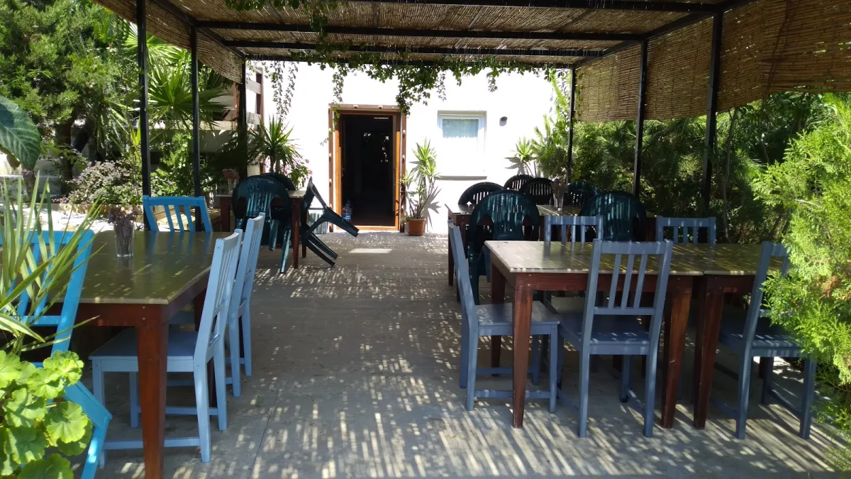 Zeytin Suit Pansiyon